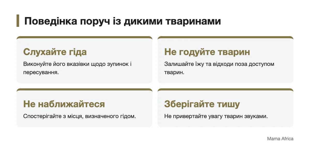 Правила поведінки поруч із дикими тваринами під час сафарі