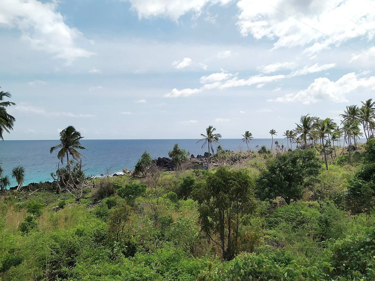 Западное побережье Гранд-Комора с пальмами и зелёными зарослями
