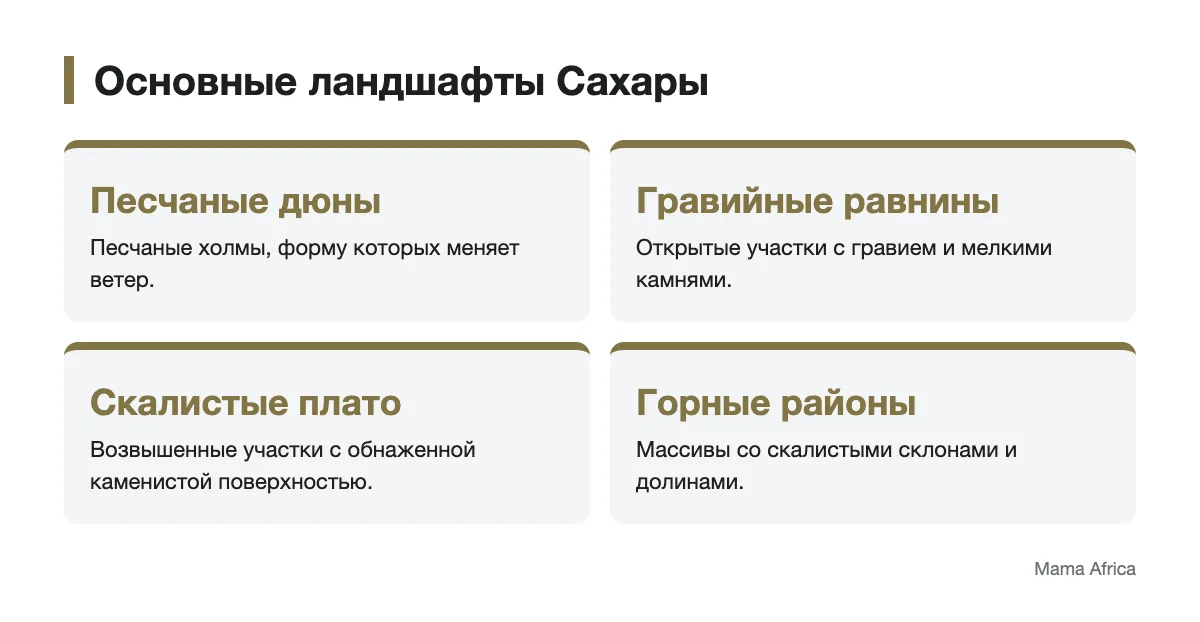 Четыре типа ландшафтов пустыни Сахара Инфографика с песчаными, гравийными, скалистыми и горными ландшафтами Сахары