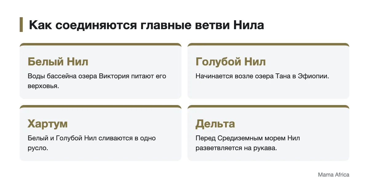 Схема истоков Белого и Голубого Нила, их слияния и дельты