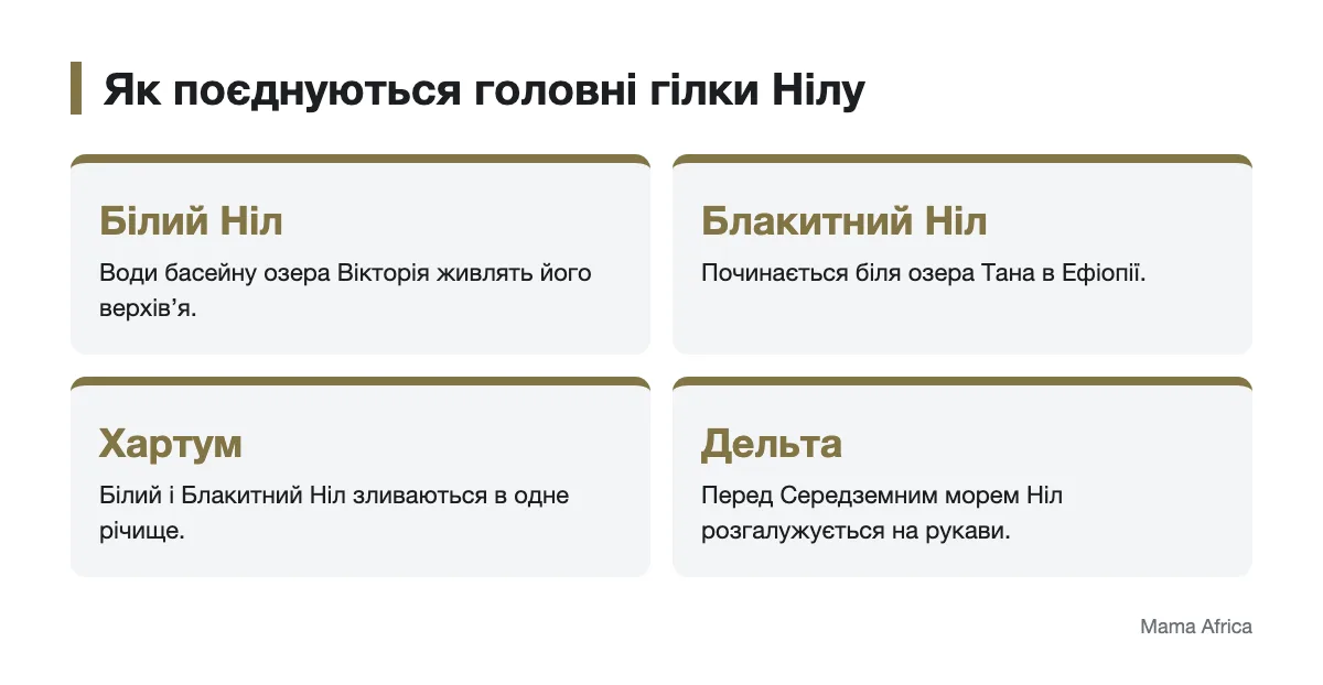 Головні гілки Нілу від озер до Середземного моря Схема витоків Білого й Блакитного Нілу, їхнього злиття та дельти