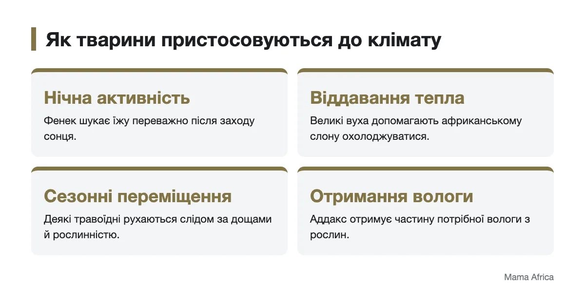 Нічна активність, охолодження й пошук вологи у тварин Схема пристосувань тварин Африки до спеки та сезонних змін