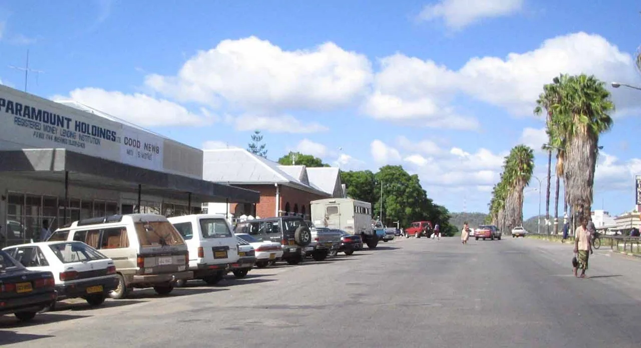 Вулиця Масвинго з припаркованими автомобілями та пальмами Вулиця Масвинго з припаркованими автомобілями та пальмами